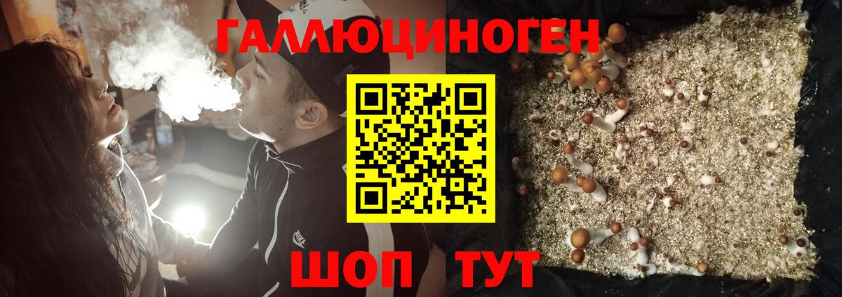 Лсд 25 Калач-на-Дону