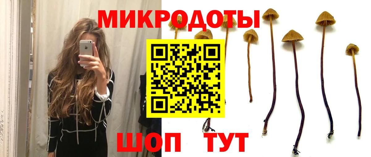 Псилоцибиновые грибы Psilocybe  Вход с VPN  Калач-на-Дону 
